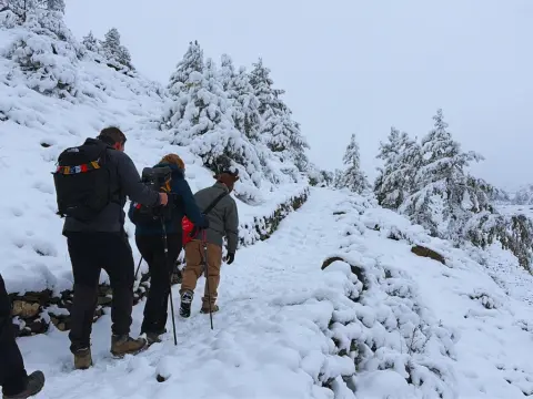 Annapurna Circuit Trek Difficulty: Complete Guide from Majestic Trails Nepal