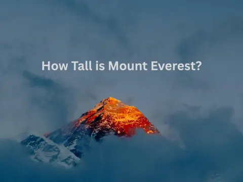 How Tall Is Mount Everest? Height, History, and What It Means to Stand at Its Base