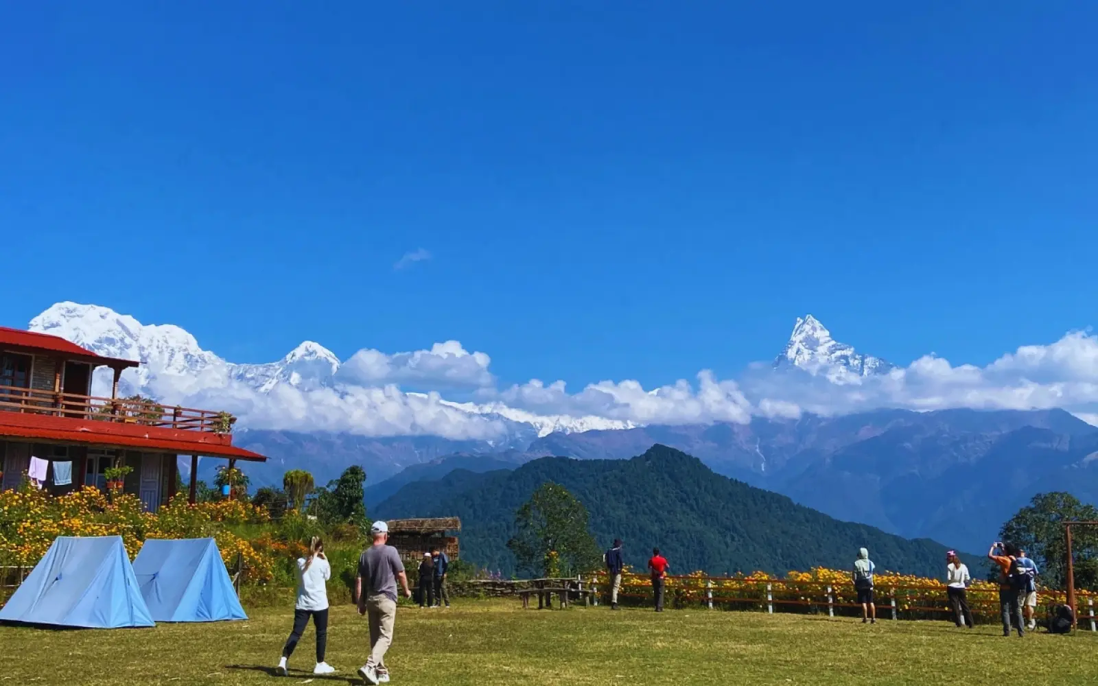 mardi himal trek guide