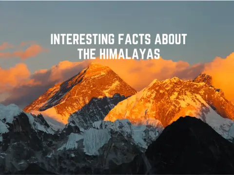 40 Interesting Facts About the Himalayas (2026 Guide)