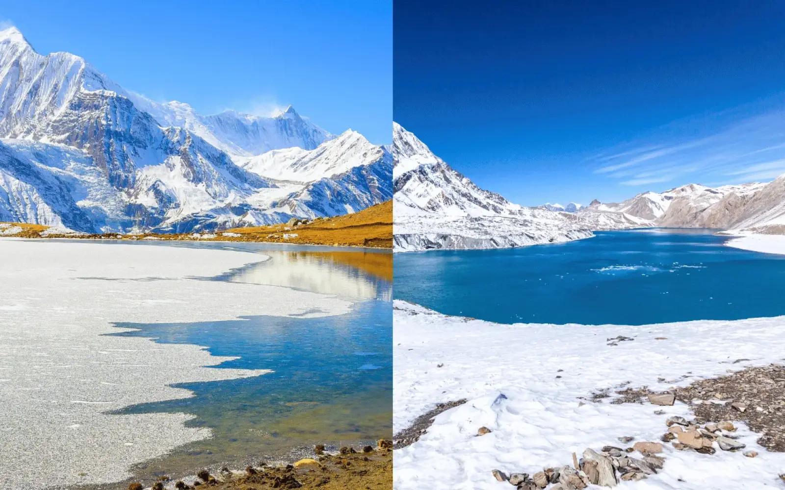 ice lake vs tilicho lake