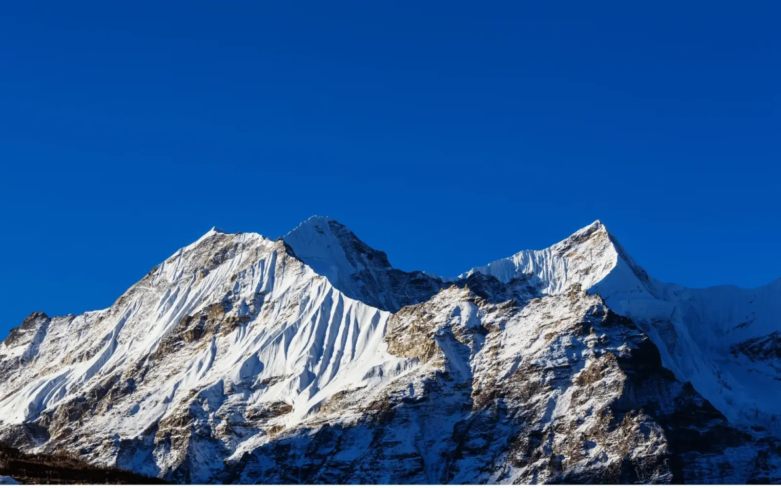 Height of Kanchenjunga