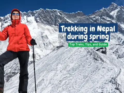 Trekking in Nepal in Spring season - Best Trails, Tips, and seasonal guide