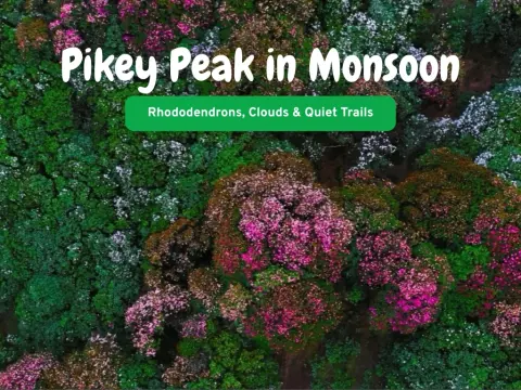 Pikey Peak Trek in Monsoon – A Hidden Himalayan Experience in Lower Solukhumbu