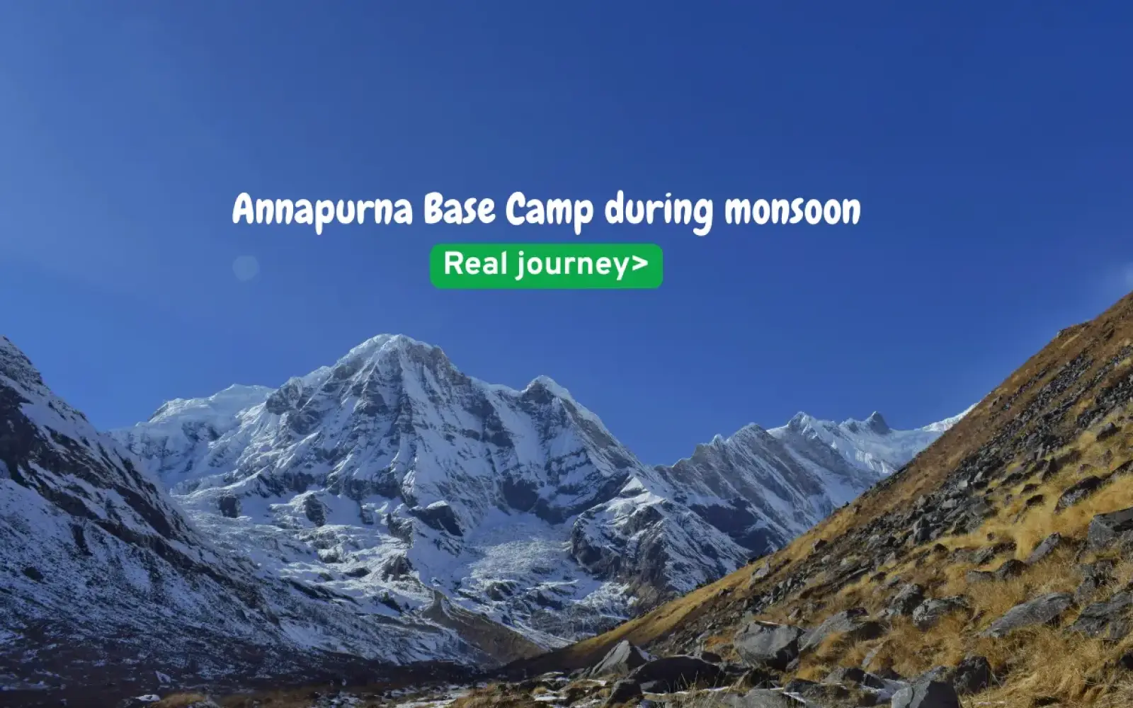 everything you should know about abc trek during monsoon