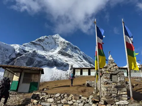 Flora and Fauna of Makalu Base Camp Trek