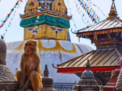 Places to Go in Nepal Kathmandu – Top Cultural & Scenic Spots