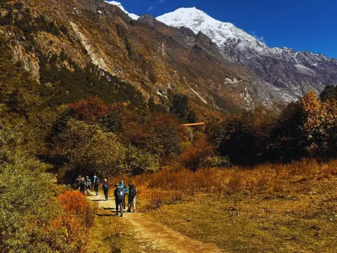 How Much Does the Langtang Valley Trek Cost?