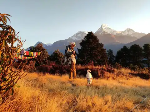 Poon Hill Trek Cost in Nepal