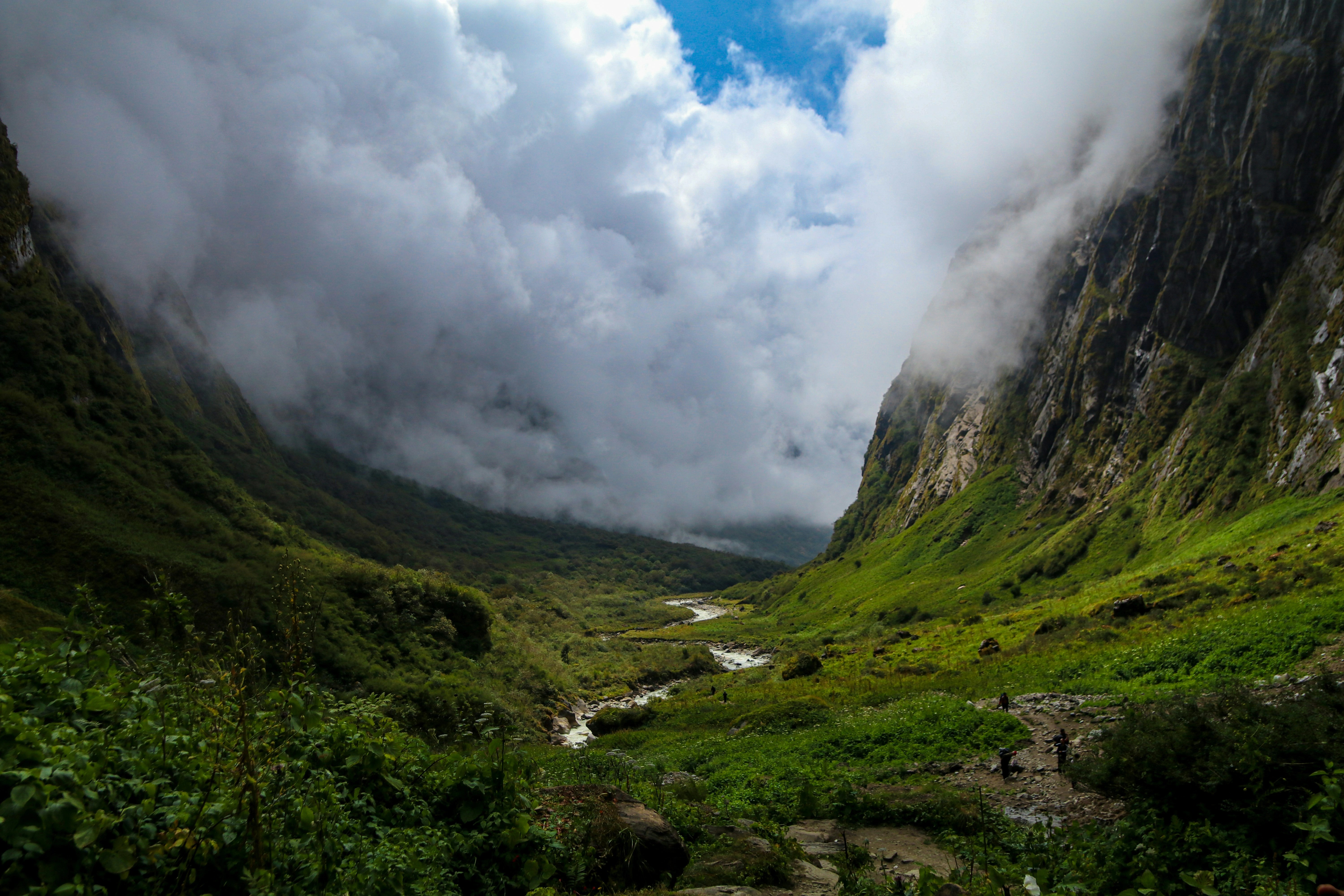 Green Annapurna Base Camp trekking trails covered in clouds during monsoon season, illustrating seasonal conditions for Annapurna Base Camp trek.