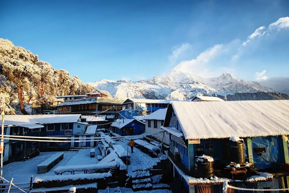Annapurna Base Camp viewpoint from Tadapani showing annapurna south fishtail peak through blooming rhododendron forest