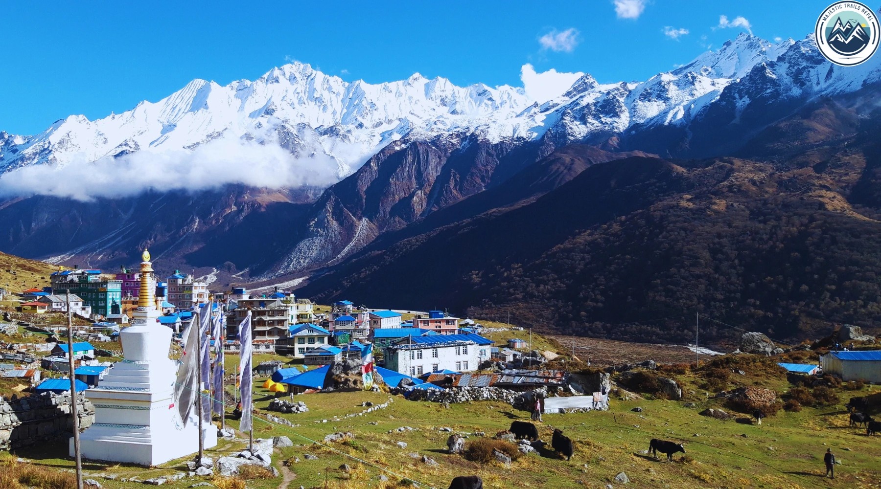 Trekkers exploring Kyanjin Gompa monastery in Langtang Valley with dramatic Himalayan mountain ranges in the background during a spiritual trek in Nepal.