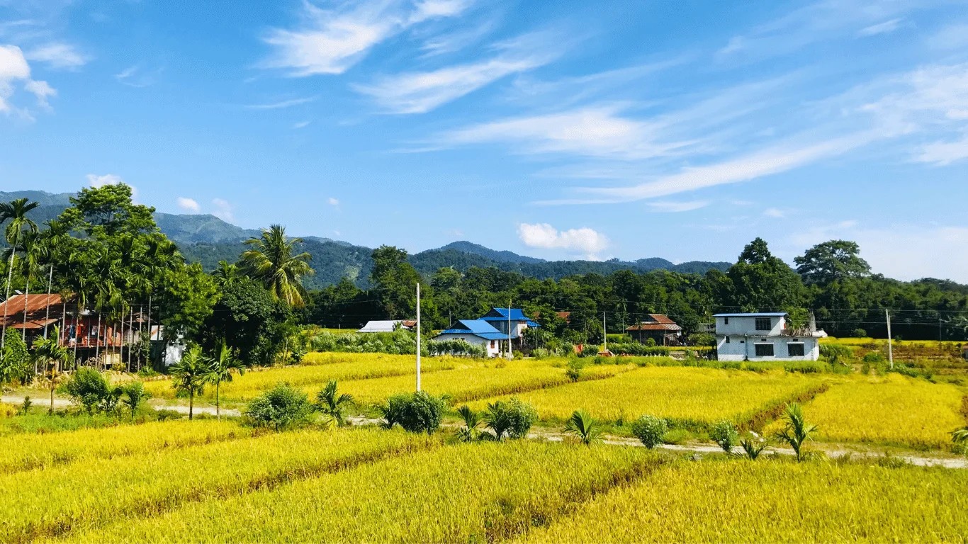Green lowland plains of Nepal's Terai region with fertile agricultural fields and lush vegetation.