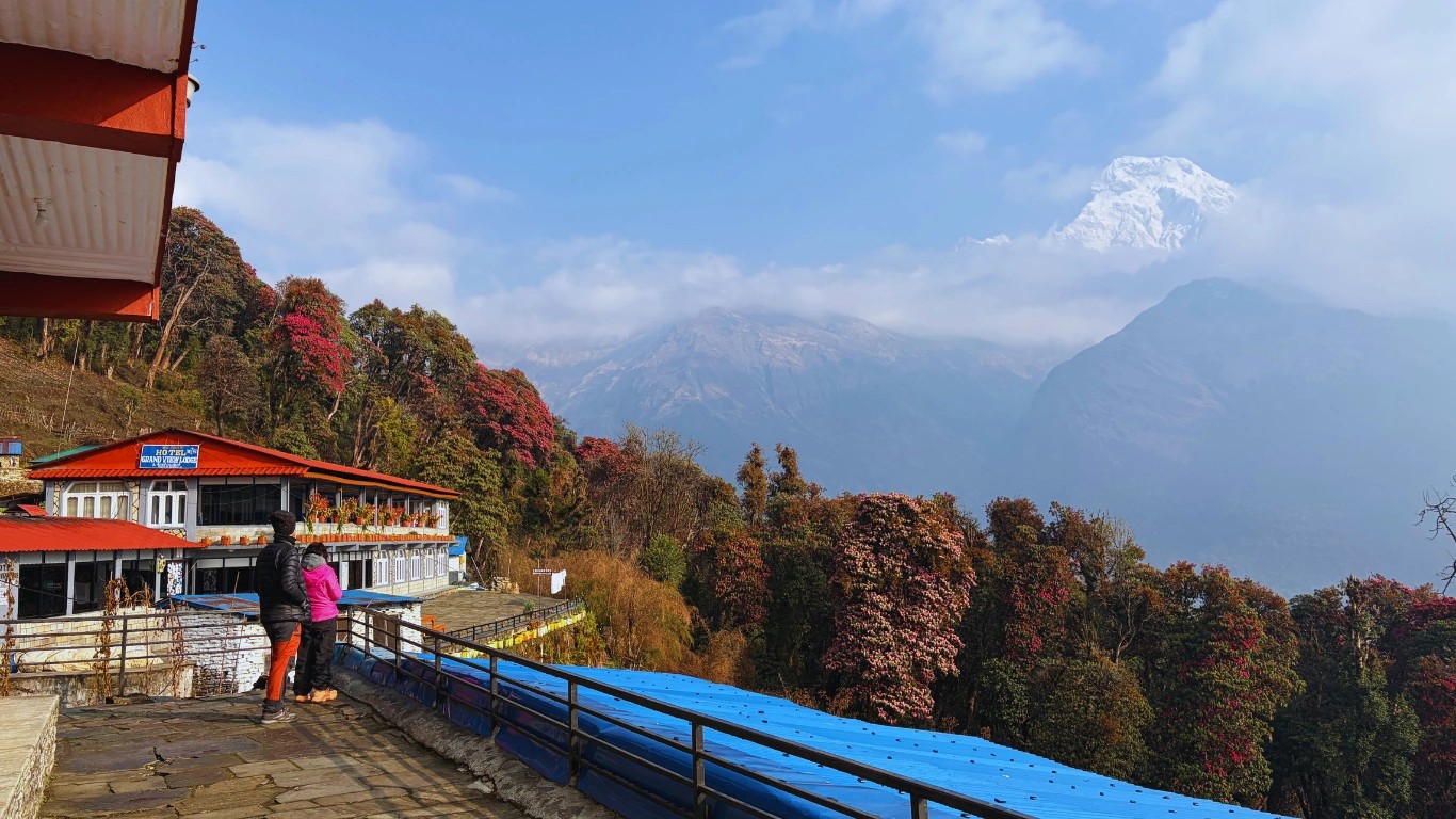 Teahouse lodge in Tadapani surrounded by rhododendron forest with views of Annapurna South along the Annapurna Base Camp Trek.