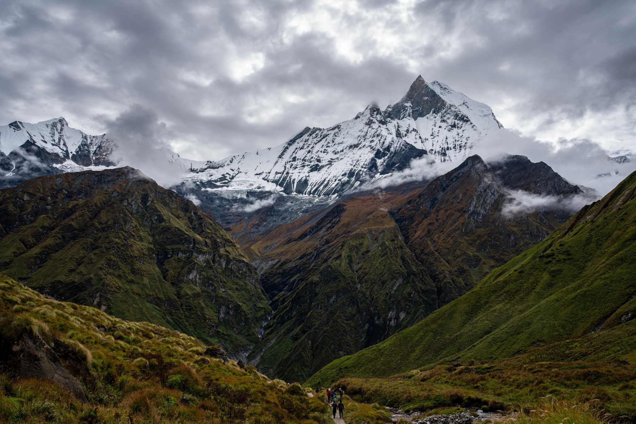 Trekkers hiking through forest trails during the Annapurna Base Camp trek, illustrating the Annapurna Base Camp trek difficulty for beginners and experienced hikers.