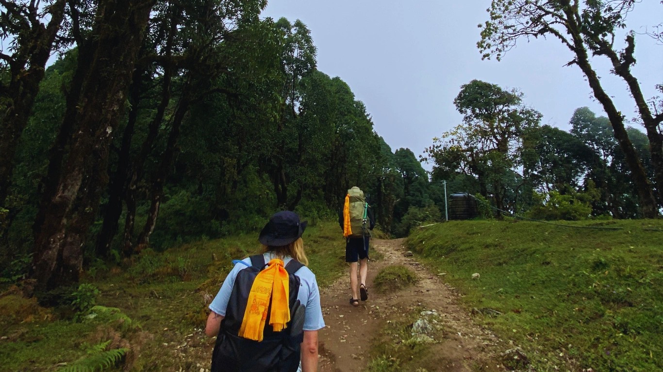 Couple walking through lush green forest on Mardi Himal Trek trail surrounded by rhododendron trees