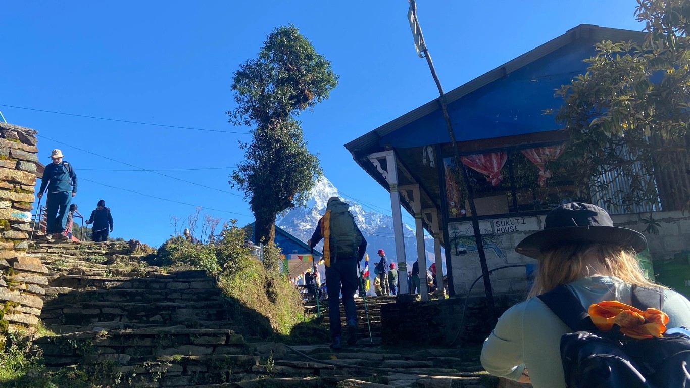 Trekkers resting at Low Camp during the Mardi Himal Trek surrounded by forest and mountain views