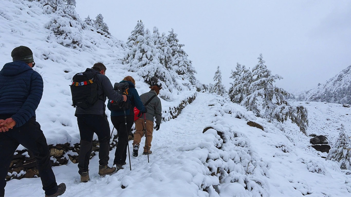 trekkers walking to the annapurna circuit trek during winter season