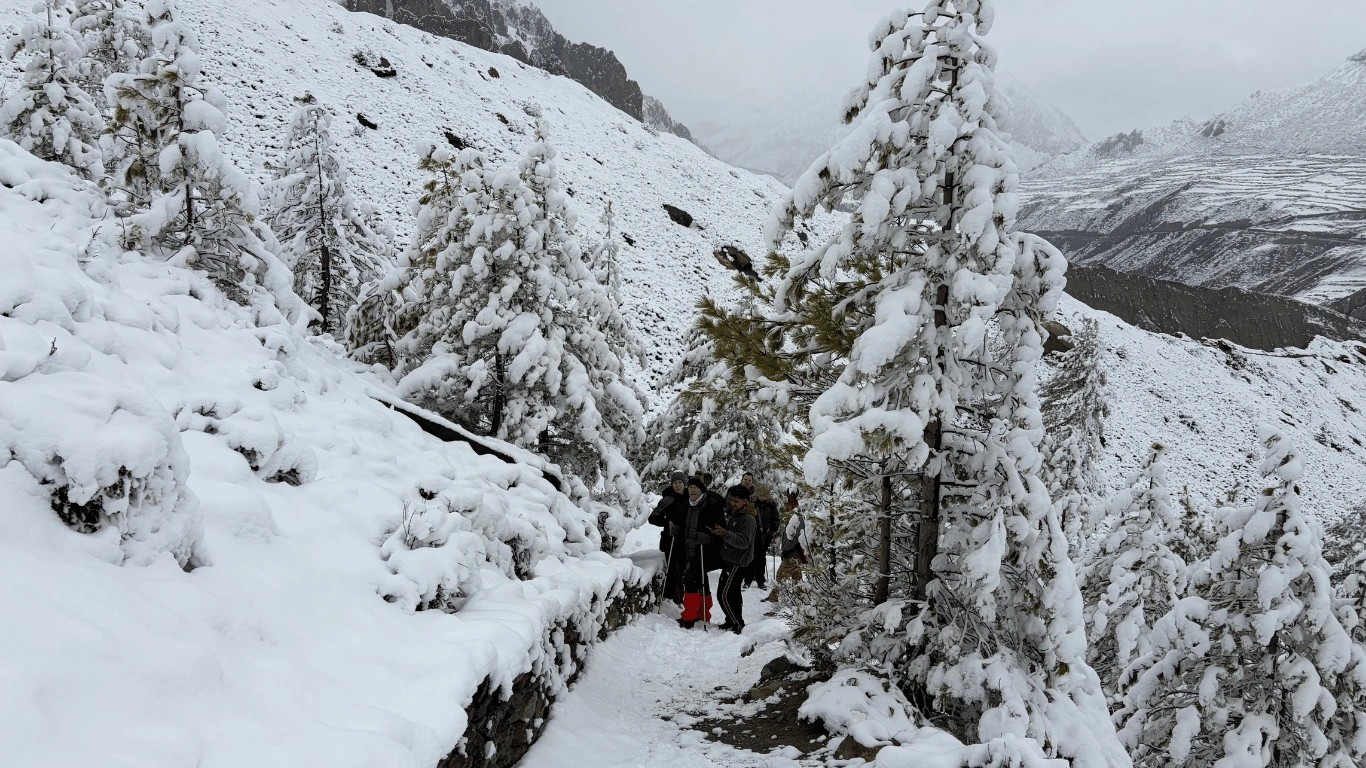 Majestic Trails Nepal team assisting a guest with altitude sickness during a high-altitude trek