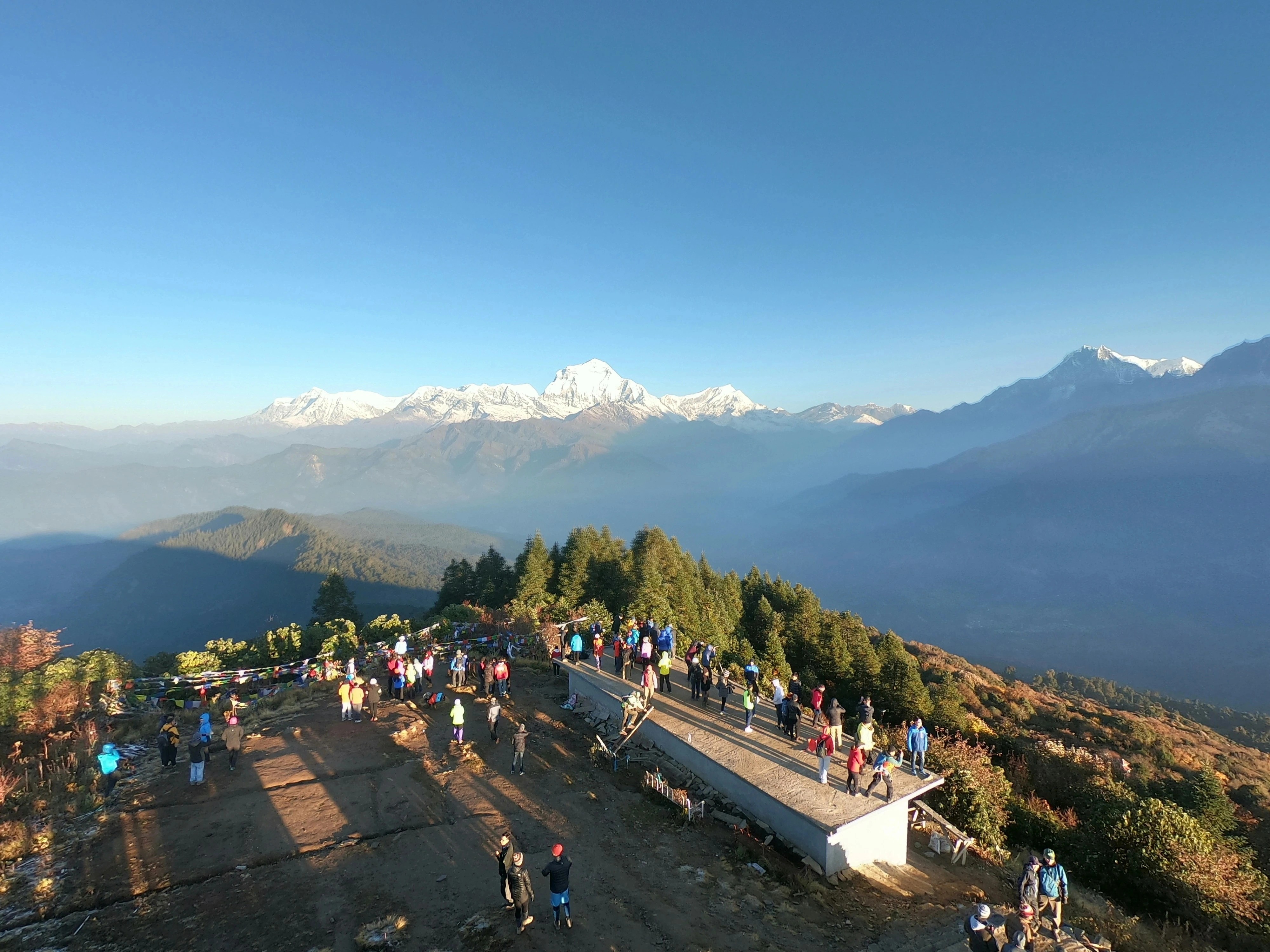 Many trekkers standing at Poon Hill during sunrise with Dhaulagiri mountain glowing in the background.
