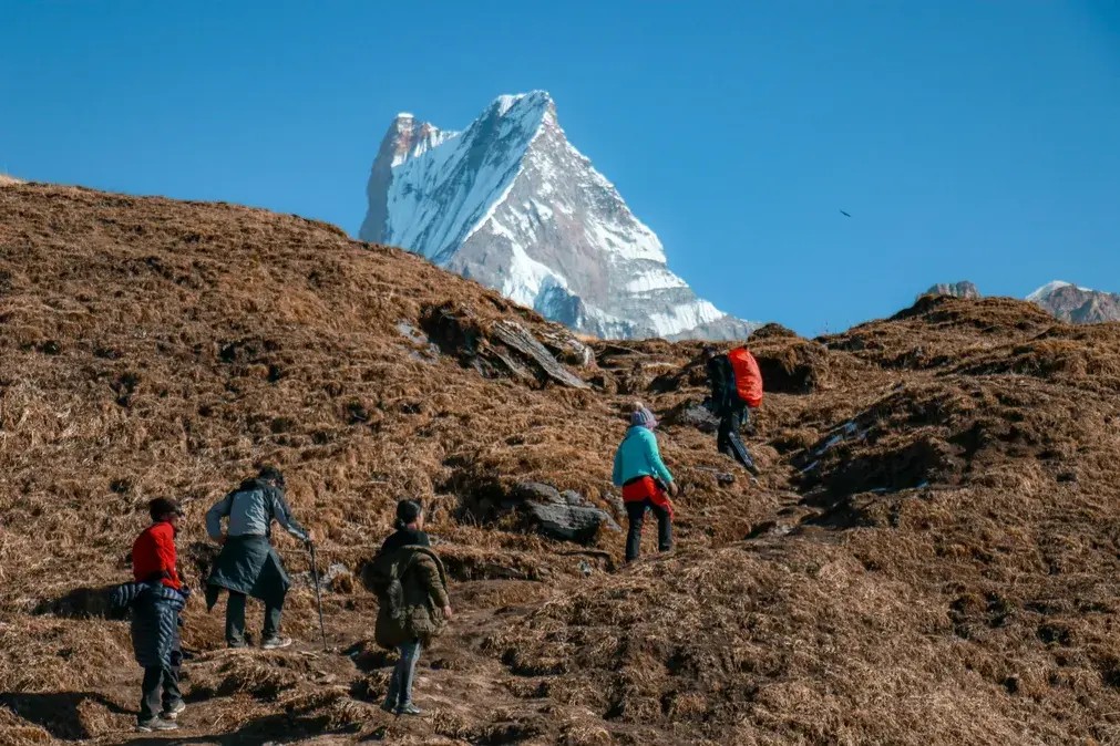 Trekkers climbing uphill toward mardi himal base camp