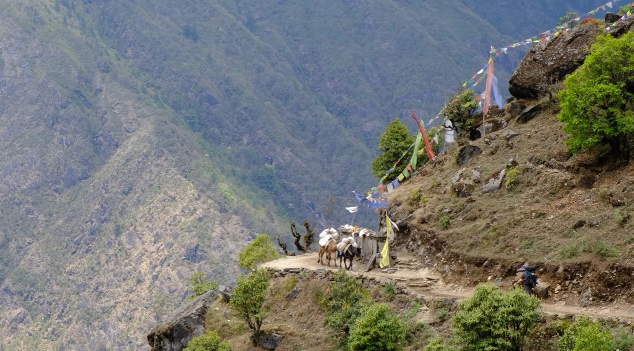 Trekkers walking in the trails of Pikey peak treks