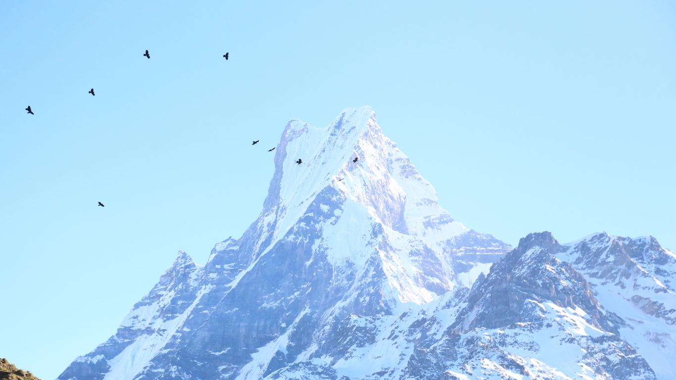 Majestic Trails Nepal preview